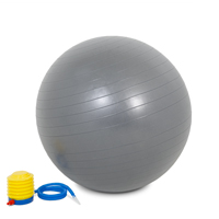 PowerMark Gym Ball 65cm