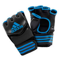 Adidas Traditional Grappling Handschoenen Zwart/Blauw Large