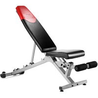 Bowflex 4.1 SelectTech Bench