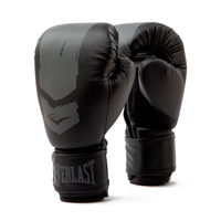 Everlast Gants de Boxe Prospect 2 Noir/Gris 8 oz