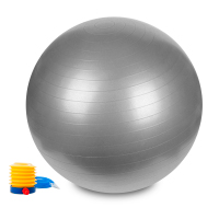 Hastings Gym Ball 75 cm Argent