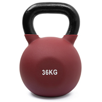 Hastings Neoprene Kettlebell 36 kg