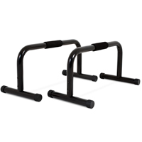 Hastings Set Barre Parallettes