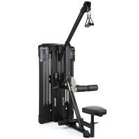 Inspire DUAL Station Lat + Low Row