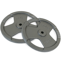 20 kg Eisernes 30 mm Scheibenset