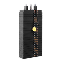 PowerMark WS210 Pesi